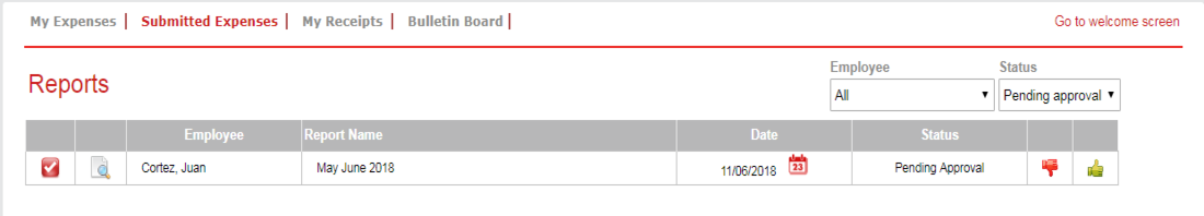 rectifying an expense report advataxes